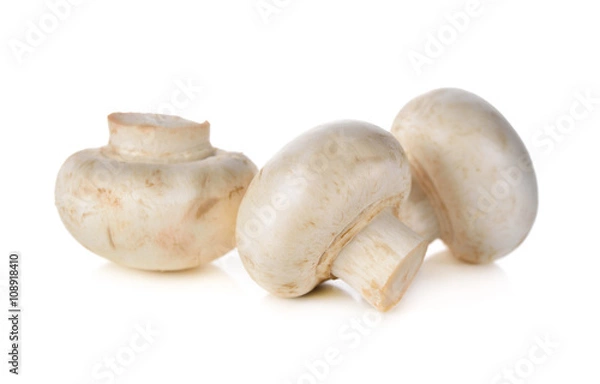 Obraz Champignon mushroom on white background