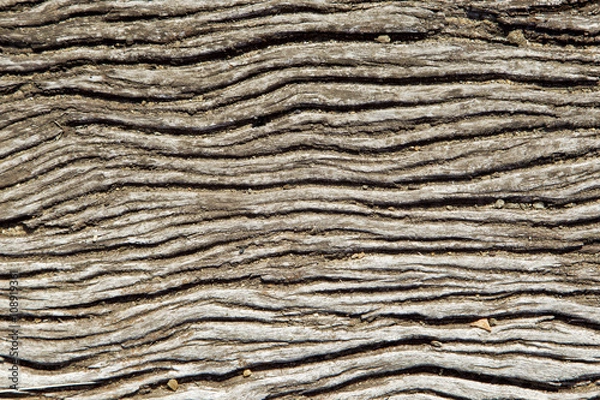 Obraz Wavy wooden background