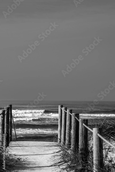 Fototapeta Holzsteg zum meer zwischen den dünen