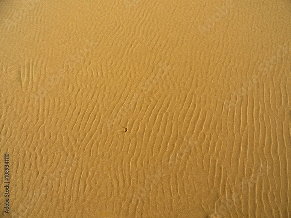 Fototapeta sand texture background, abstract, textured
