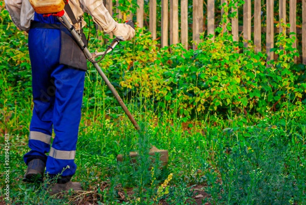 Fototapeta Lawnmower. A gardener mows fresh grass with a trimmer. Agriculture concept. Young man Professional gardener takes care of the grass in the backyard. Garbage collection.