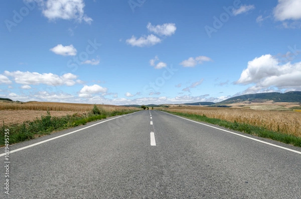 Fototapeta A long, straight asphalt road stretches into the horizon on a sunny day. The road is flanked by golden wheat fields and green grass. A blue sky with fluffy white clouds provides a dramatic backdrop.