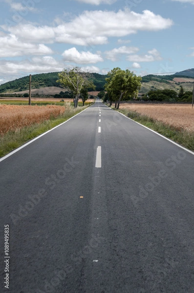 Fototapeta A long, straight road stretches into the horizon, flanked by golden fields of wheat. A few lone trees stand tall in the distance, providing a sense of scale and perspective. 