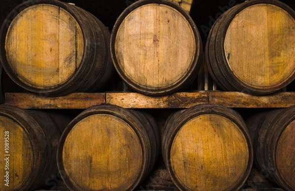 Fototapeta wine-cellar