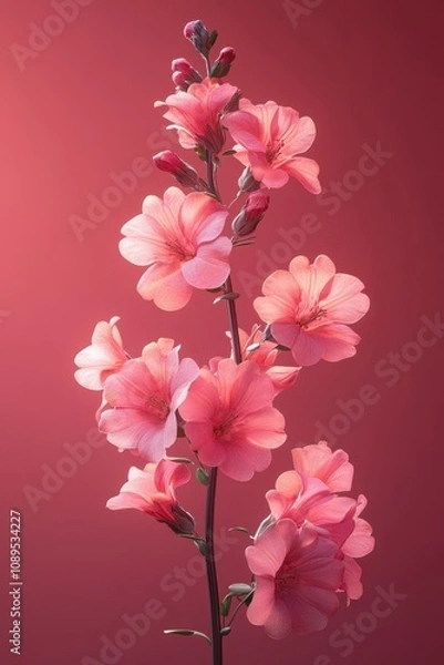 Fototapeta Vibrant Cherry Blossom Bouquet on Crimson Backdrop