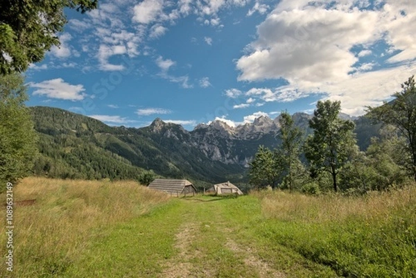 Fototapeta Stunning summer scenery with alpine meadows and  mountains in Austria. 