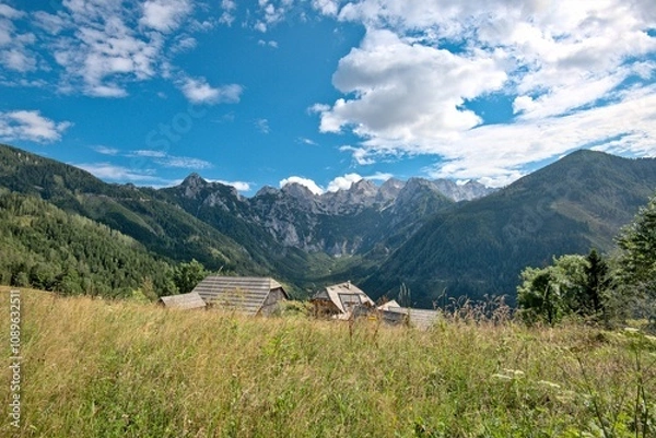 Fototapeta Stunning summer scenery with alpine meadows and  mountains in Austria. 