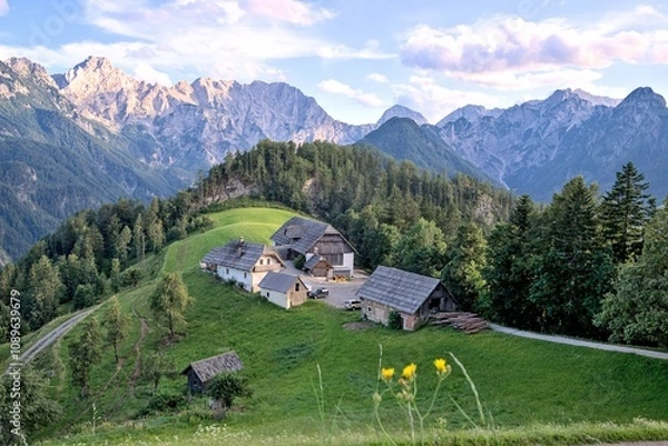 Obraz Stunning summer  scenery with alpine meadows and  mountains in Slovenia. Logarska Dolina and alpine forest with flowery fields from the Solcava panoramic road, Logar valley, Slovenia, Europe