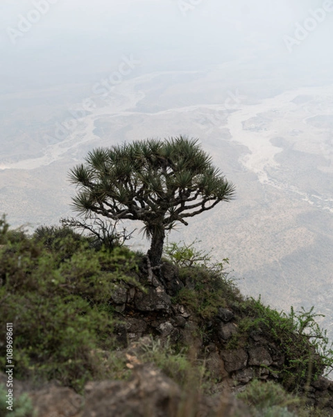 Fototapeta Jebel Samhan, the highest peak in Oman, is a majestic mountain offering panoramic views of rugged cliffs, deep valleys, and the vast desert below.