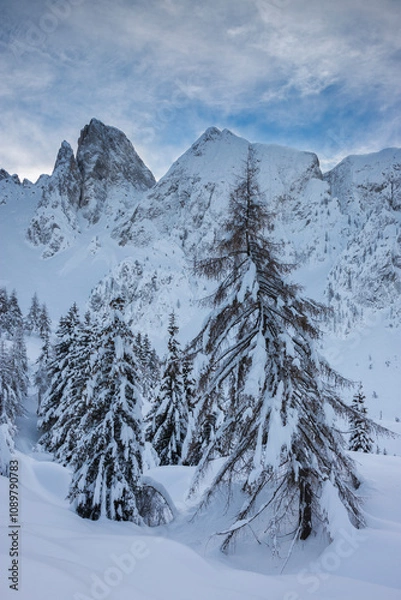 Fototapeta White landscape in snowy winter scenery with soft snow covered trees and peaks by, Orobie alps, Lombardy, Italy