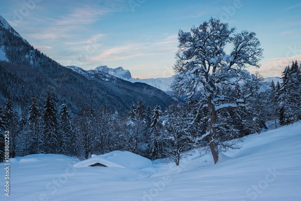 Fototapeta Mountain landscape in snowy winter scenery with soft snow covered tree and roof by, Orobie alps, Lombardy, Italy