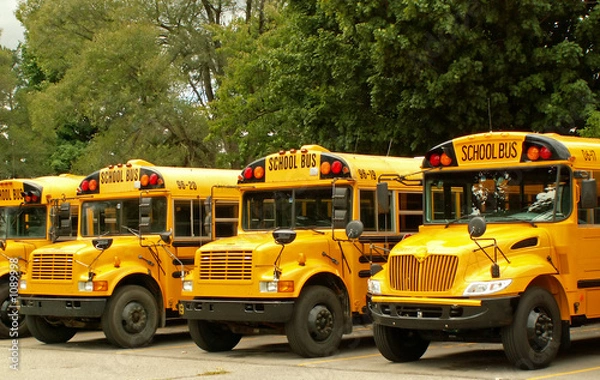 Obraz school buses