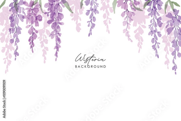 Fototapeta Watercolor of wisteria, isolated on a white background. Floral frame. Watercolor Pink and purple wisteria illustration isolated on a white background.