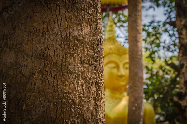 Fototapeta The bark of the tree