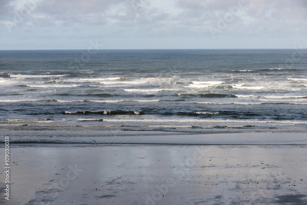 Fototapeta People digging for clams on the Washington coast