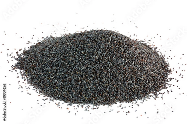 Obraz Poppy seed