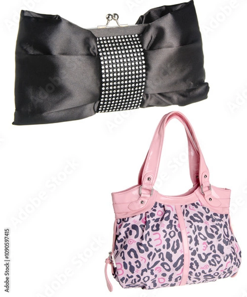 Obraz bag