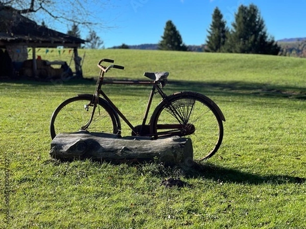 Fototapeta Bicicletta