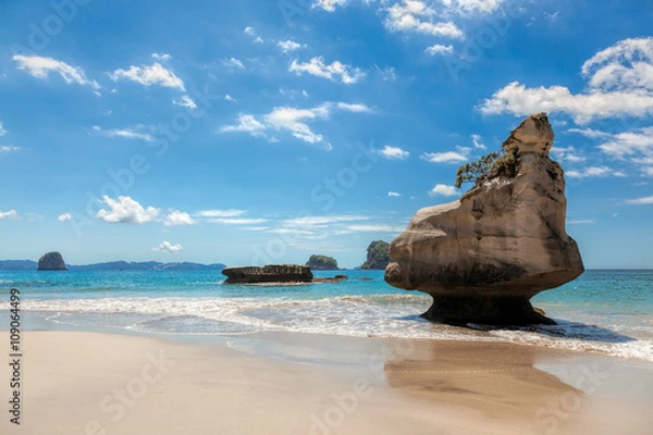 Obraz Cathedral Cove Coromandel Peninsula