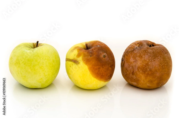 Obraz zgniłe jabłka