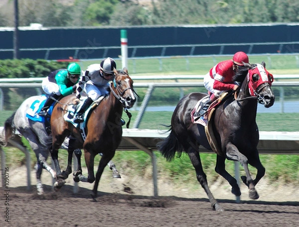 Obraz wyścigi konne na odcinku