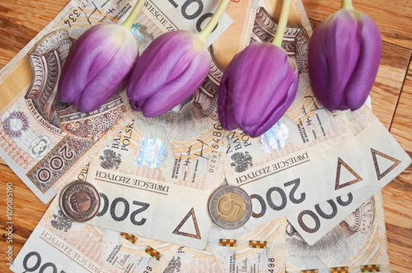 Obraz Background from 200 polish zloty and coins and tulips