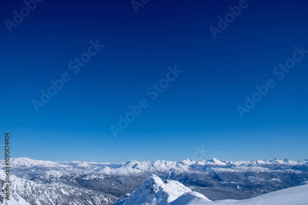 Fototapeta どこまでも青い空