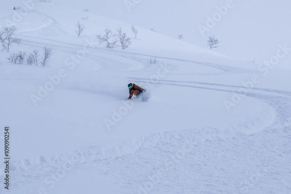 Fototapeta バックカントリースノーボード