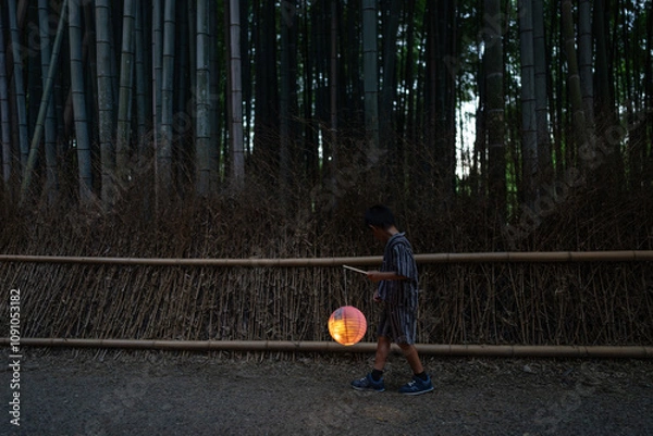 Fototapeta 行灯を持って京都の竹林小径を歩く少年