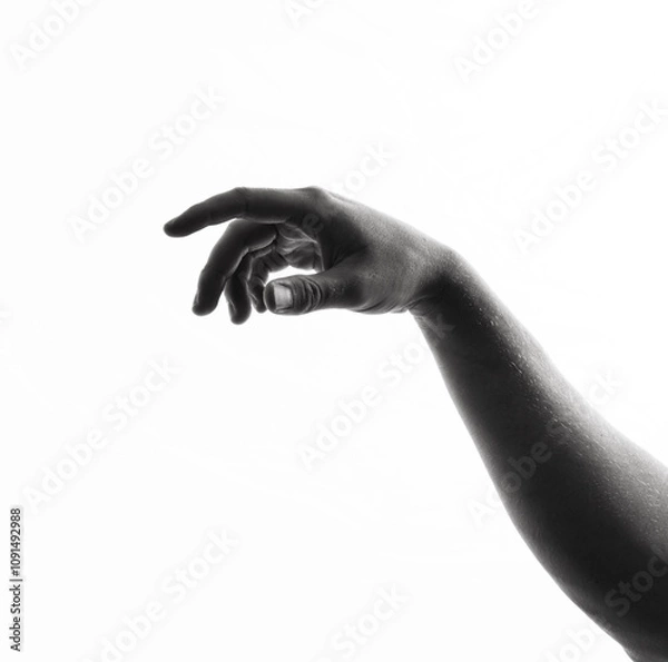 Obraz Background hand. Hands. Concept photo. Finger. Background. Human. Concept. Open