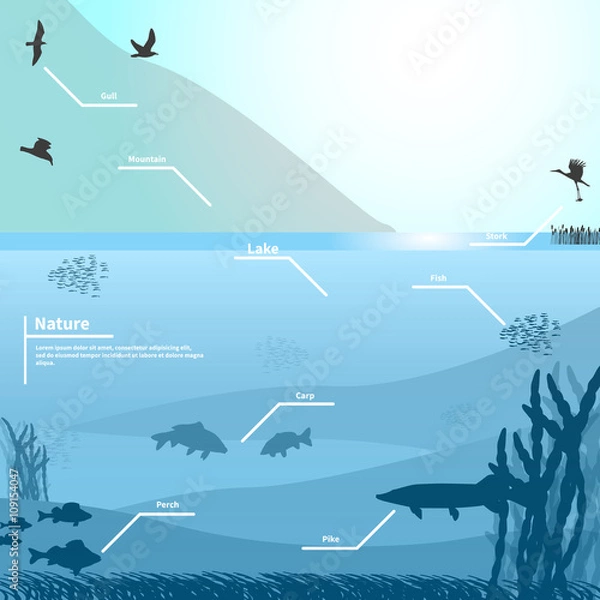 Fototapeta Vector illustration of nature on a blue background
