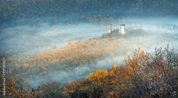 Obraz aerial view to autumn forest in morning fog and ruins of castle on the hill