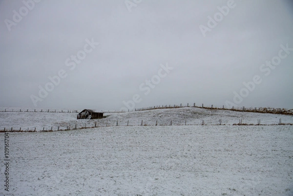 Fototapeta hut in landscape with snow