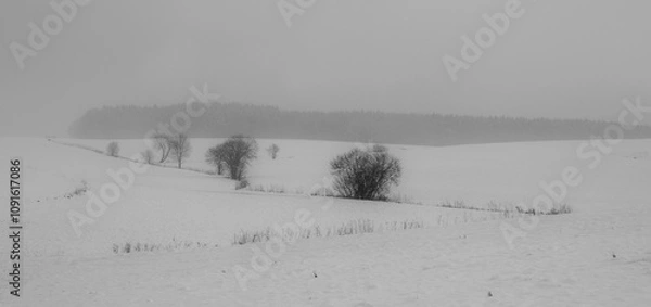 Fototapeta landscape with snow
