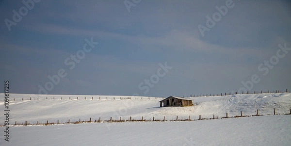 Fototapeta hut in landscape with snow
