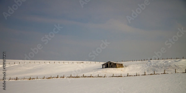 Fototapeta hut in landscape with snow