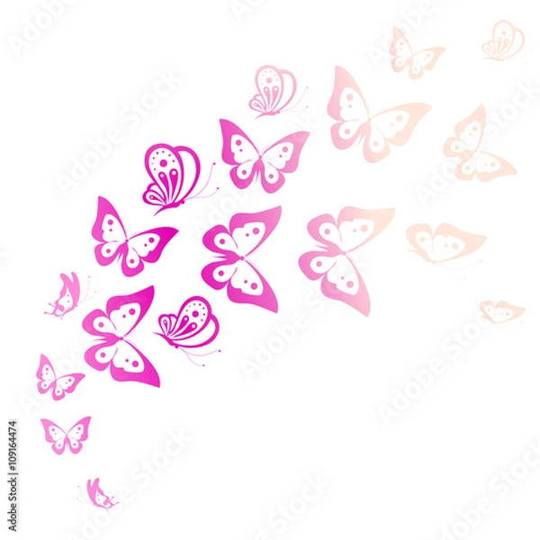 Fototapeta butterflies design