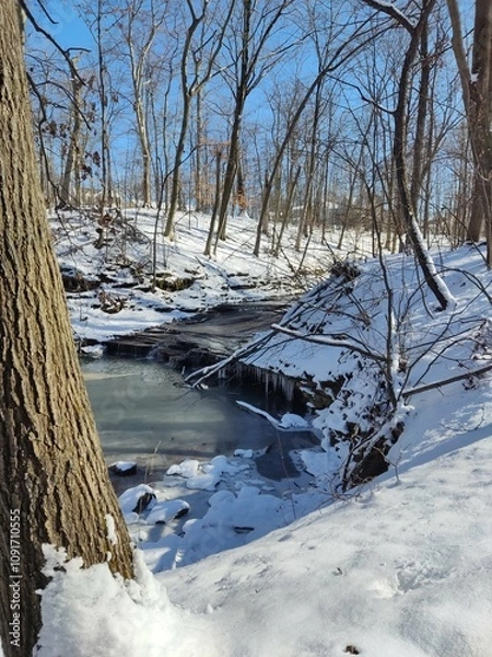Obraz river in winter forest