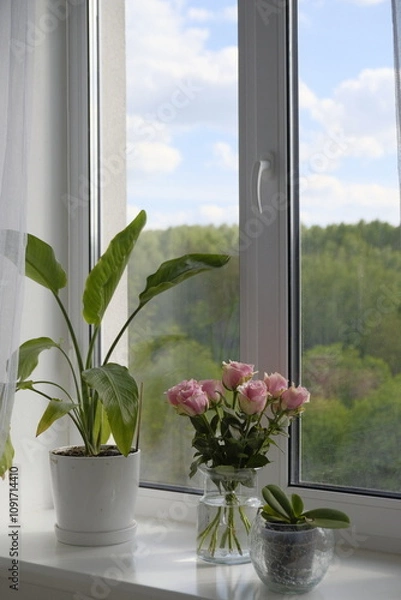 Obraz window with flowers