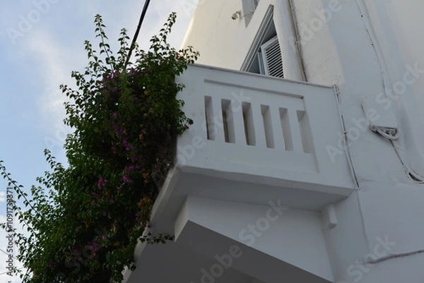 Obraz Balcone con siepe - Architettura