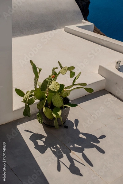 Obraz Pianta, giardino design