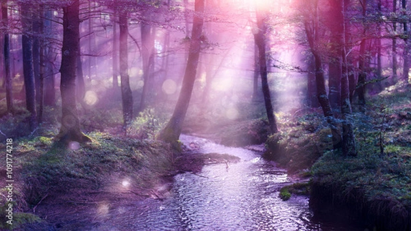 Obraz fairytale forest