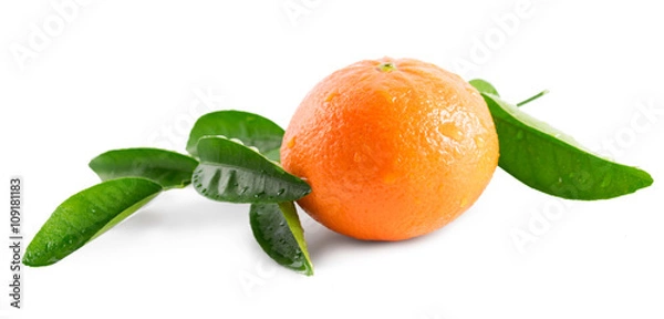 Fototapeta Mandarin orange (tangerine) isolated on white background