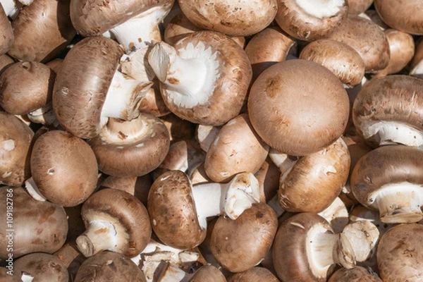 Fototapeta Background of whole mushrooms champignon