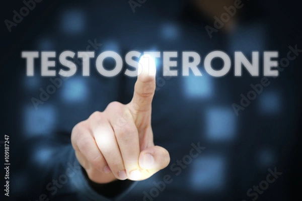 Fototapeta Businessman touching Testosterone