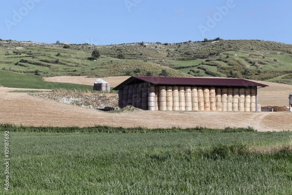 Obraz Fienile con rotoballe