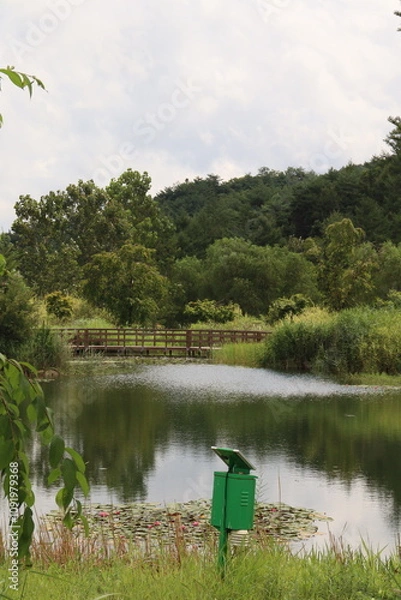 Fototapeta 풍경, 시골, 거울, 공원, 강, 풍경, 자연, 휴일, 자유, 여행, 관광, 힐링, 산책, 길, 대한민국, 물고기, 평화, 하늘, 식물원, 식물, 풀, 초록색, 푸릇, 