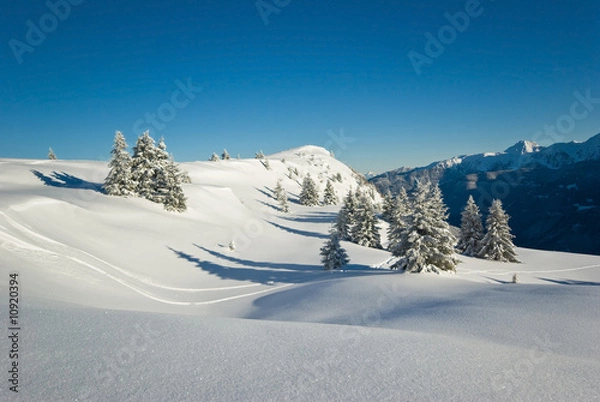 Obraz neige belledonne