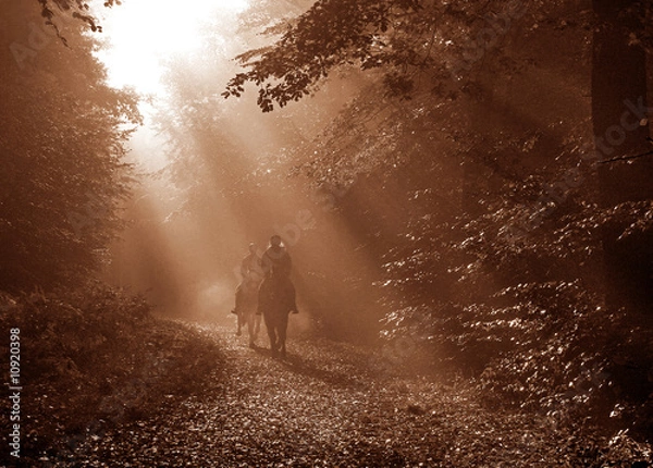 Fototapeta Herbstritt