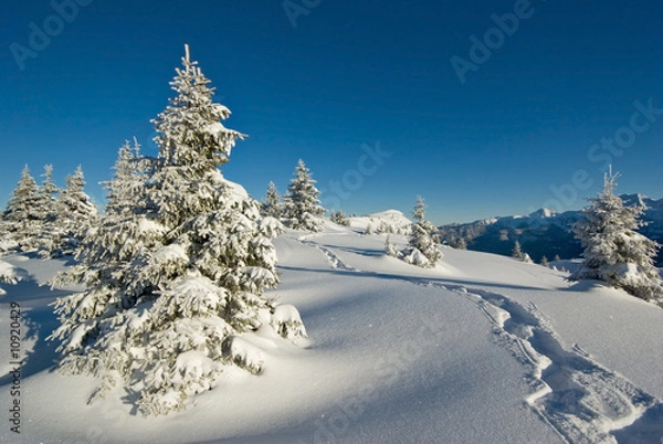 Obraz neige belledonne
